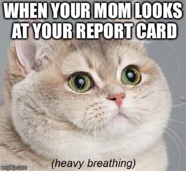 Heavy Breathing Cat | WHEN YOUR MOM LOOKS AT YOUR REPORT CARD | image tagged in memes,heavy breathing cat | made w/ Imgflip meme maker