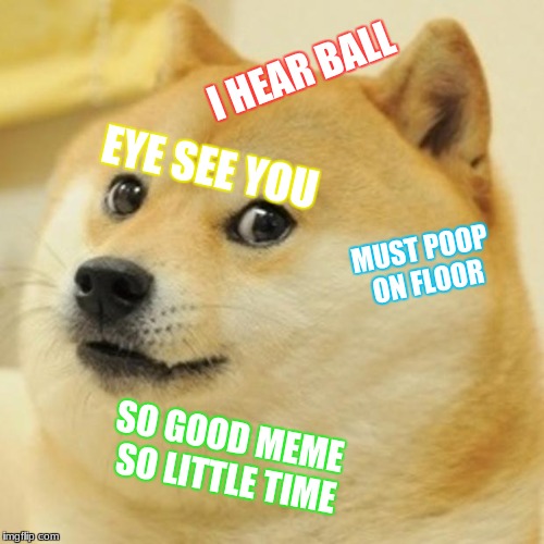so little time
 | I HEAR BALL; EYE SEE YOU; MUST POOP ON FLOOR; SO GOOD MEME SO LITTLE TIME | image tagged in memes,doge | made w/ Imgflip meme maker