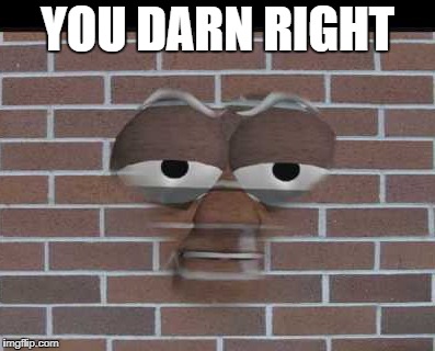 YOU DARN RIGHT | made w/ Imgflip meme maker