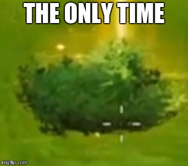 Bush fortnite | THE ONLY TIME | image tagged in bush fortnite | made w/ Imgflip meme maker