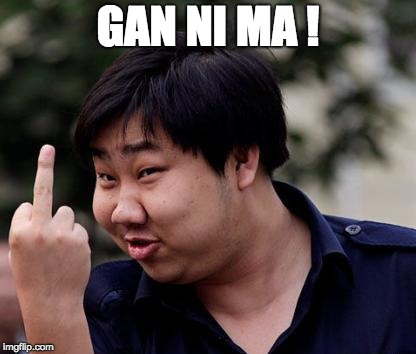 Chinese middle finger | GAN NI MA ! | image tagged in chinese middle finger | made w/ Imgflip meme maker
