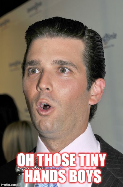 Trump Jr. Uh Oh | OH THOSE TINY HANDS BOYS | image tagged in trump jr uh oh | made w/ Imgflip meme maker