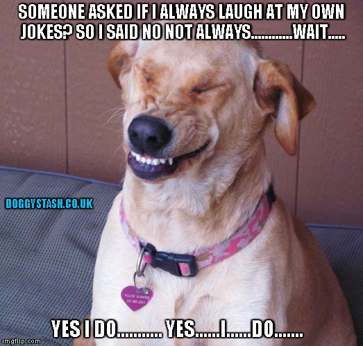 SOMEONE ASKED IF I ALWAYS LAUGH AT MY OWN JOKES? SO I SAID NO NOT ALWAYS............WAIT..... YES I DO........... YES......I......DO....... | image tagged in laughing dog | made w/ Imgflip meme maker