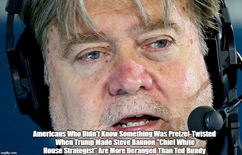 Americans Who Didn't Know Something Was Pretzel-Twisted When Trump Made Steve Bannon "Chief White House Strategist" Are More Deranged Than T | made w/ Imgflip meme maker