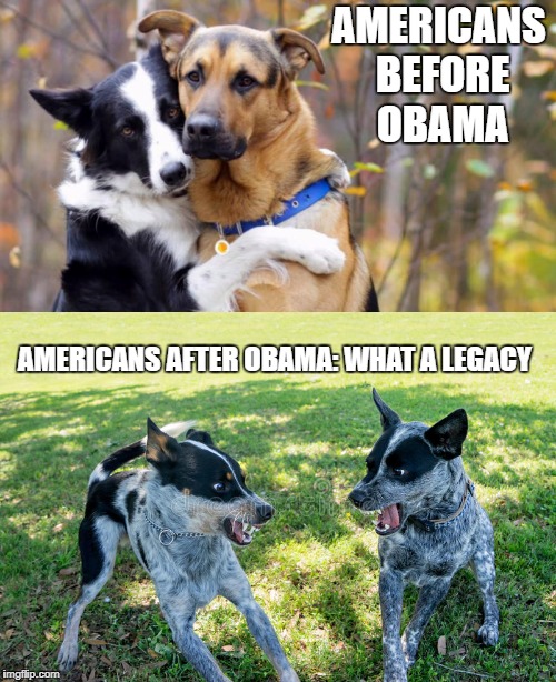 America before and after | AMERICANS BEFORE OBAMA; AMERICANS AFTER OBAMA: WHAT A LEGACY | image tagged in america | made w/ Imgflip meme maker
