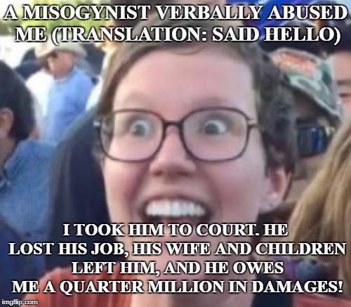 Triggered feminist happy to ruin your life... | A MISOGYNIST VERBALLY ABUSED ME (TRANSLATION: SAID HELLO); I TOOK HIM TO COURT. HE LOST HIS JOB, HIS WIFE AND CHILDREN LEFT HIM, AND HE OWES ME A QUARTER MILLION IN DAMAGES! | image tagged in sexual harassment,triggered feminist,lawsuit,misogyny,memes | made w/ Imgflip meme maker