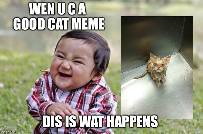 Evil Baby Meme | WEN U C A GOOD CAT MEME; DIS IS WAT HAPPENS | image tagged in evil baby meme | made w/ Imgflip meme maker