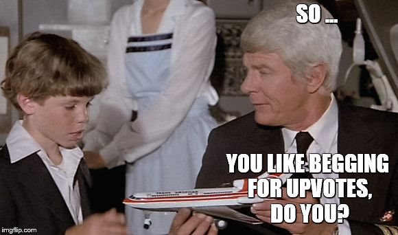 SO ... YOU LIKE BEGGING FOR UPVOTES, DO YOU? | image tagged in peter graves airplane | made w/ Imgflip meme maker