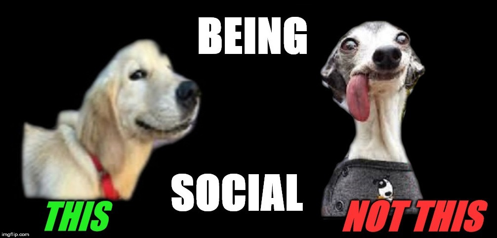 Like A Fish out Of Water In Social Situations | image tagged in socially awkward,like a fish out of water in social situations,the most socially awkward person in the world,not social,social e | made w/ Imgflip meme maker