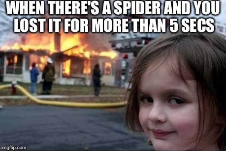 Burning House Girl | WHEN THERE'S A SPIDER AND YOU LOST IT FOR MORE THAN 5 SECS | image tagged in burning house girl | made w/ Imgflip meme maker