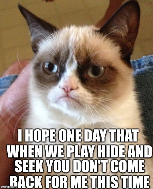 Grumpy Cat Meme | I HOPE ONE DAY THAT WHEN WE PLAY HIDE AND; SEEK YOU DON'T COME BACK FOR ME THIS TIME | image tagged in memes,grumpy cat | made w/ Imgflip meme maker