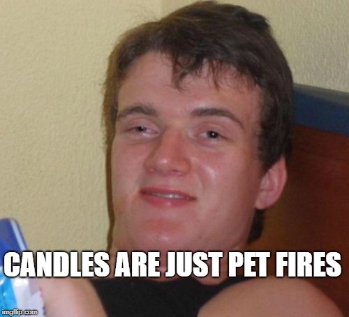 yo this meme's lit | CANDLES ARE JUST PET FIRES | image tagged in memes,10 guy,trhtimmy,shower thoughts | made w/ Imgflip meme maker