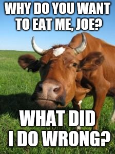 Sad Cow | WHY DO YOU WANT TO EAT ME, JOE? WHAT DID I DO WRONG? | image tagged in sad cow | made w/ Imgflip meme maker