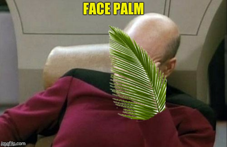 FACE PALM | made w/ Imgflip meme maker