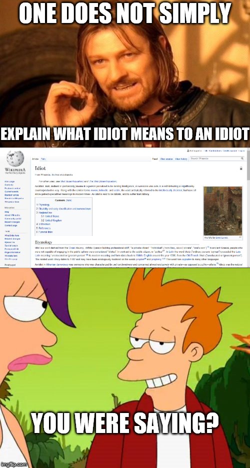 *Sigh* | ONE DOES NOT SIMPLY; EXPLAIN WHAT IDIOT MEANS TO AN IDIOT; YOU WERE SAYING? | image tagged in slick fry,idiot,one does not simply | made w/ Imgflip meme maker