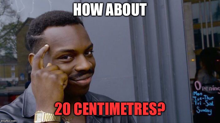 Roll Safe Think About It Meme | HOW ABOUT 20 CENTIMETRES? | image tagged in memes,roll safe think about it | made w/ Imgflip meme maker