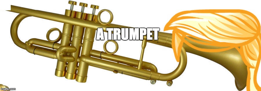 trumpet | A TRUMPET | image tagged in donald trump | made w/ Imgflip meme maker