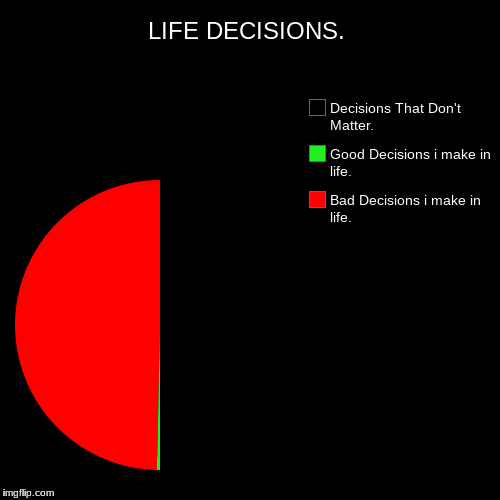 LIFE DECISIONS. | Bad Decisions i make in life., Good Decisions i make in life., Decisions That Don't Matter. | image tagged in funny,pie charts | made w/ Imgflip chart maker