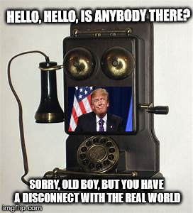 Disconnect | HELLO, HELLO, IS ANYBODY THERE? SORRY, OLD BOY, BUT YOU HAVE A DISCONNECT WITH THE REAL WORLD | image tagged in trump,reality | made w/ Imgflip meme maker