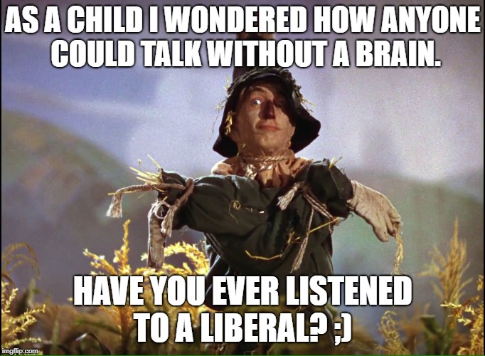 Wizard of Oz Scarecrow which way | AS A CHILD I WONDERED HOW ANYONE COULD TALK WITHOUT A BRAIN. HAVE YOU EVER LISTENED TO A LIBERAL? ;) | image tagged in wizard of oz scarecrow which way | made w/ Imgflip meme maker