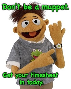 Muppet Timesheet Reminder | Don't be a muppet. Get your timesheet in today. | image tagged in muppet timesheet reminder,timesheet reminder,muppets | made w/ Imgflip meme maker