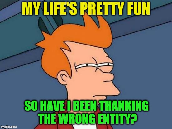 Futurama Fry Meme | MY LIFE'S PRETTY FUN SO HAVE I BEEN THANKING THE WRONG ENTITY? | image tagged in memes,futurama fry | made w/ Imgflip meme maker