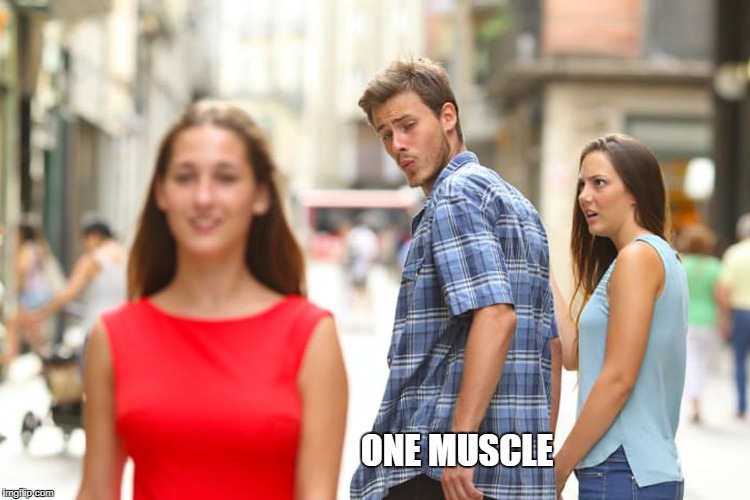 Distracted Boyfriend Meme | ONE MUSCLE | image tagged in memes,distracted boyfriend | made w/ Imgflip meme maker