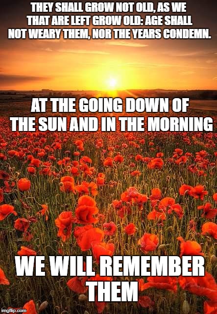 Poppy Field Lest We Forget | THEY SHALL GROW NOT OLD, AS WE THAT ARE LEFT GROW OLD: AGE SHALL NOT WEARY THEM, NOR THE YEARS CONDEMN. AT THE GOING DOWN OF THE SUN AND IN THE MORNING; WE WILL REMEMBER THEM | image tagged in poppy field lest we forget | made w/ Imgflip meme maker