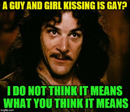 A GUY AND GIRL KISSING IS GAY? I DO NOT THINK IT MEANS WHAT YOU THINK IT MEANS | made w/ Imgflip meme maker