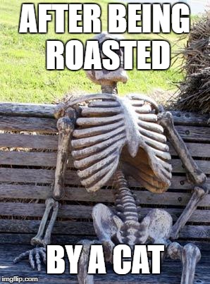 Waiting Skeleton | AFTER BEING ROASTED; BY A CAT | image tagged in memes,waiting skeleton | made w/ Imgflip meme maker