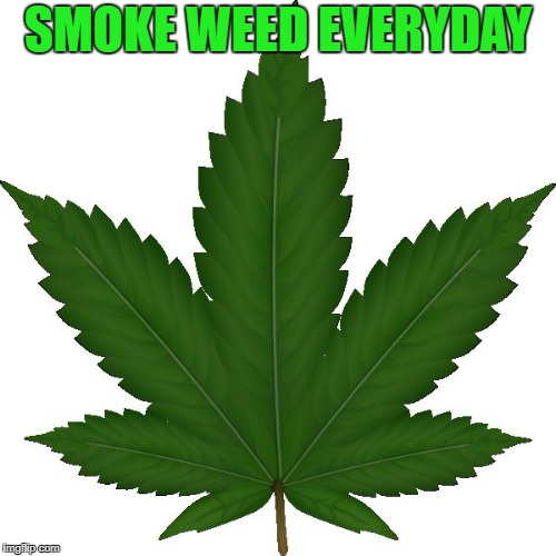 Smoke weed everyday | SMOKE WEED EVERYDAY | image tagged in weed,smoke weed everyday,smoke weed | made w/ Imgflip meme maker
