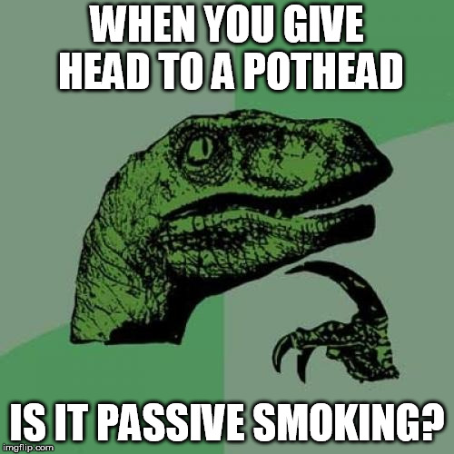 Philosoraptor | WHEN YOU GIVE HEAD TO A POTHEAD; IS IT PASSIVE SMOKING? | image tagged in memes,philosoraptor | made w/ Imgflip meme maker