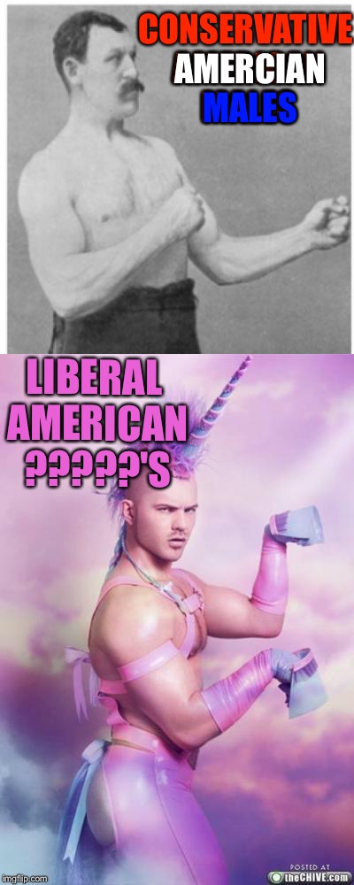 AMERCIAN; CONSERVATIVE AMERICAN MALES; MALES; LIBERAL AMERICAN ?????'S | image tagged in memes | made w/ Imgflip meme maker