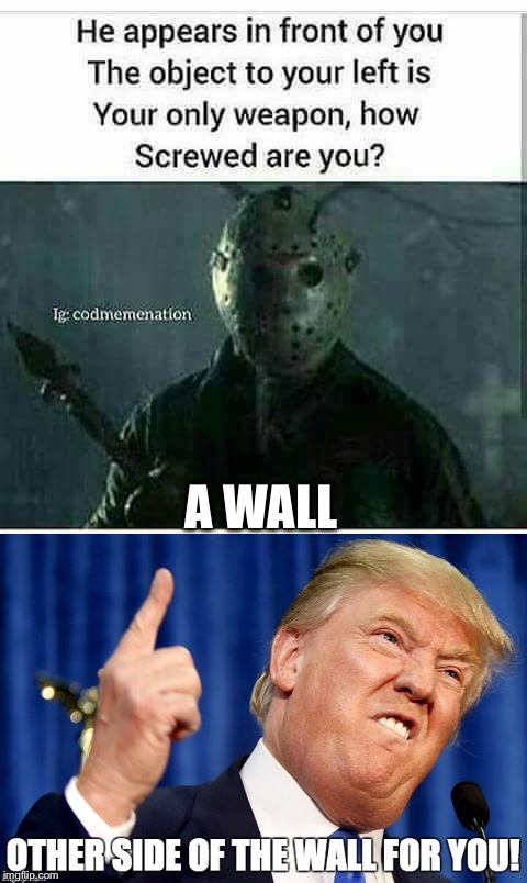 Jason Voorhees vs Trump |  A WALL | image tagged in jason voorhees,donald trump,trump wall,wall | made w/ Imgflip meme maker