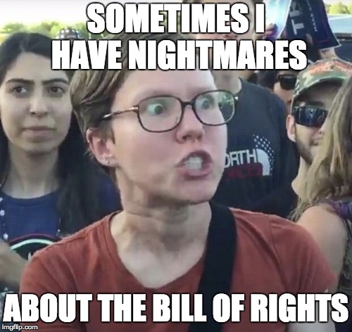 Triggered feminist | SOMETIMES I HAVE NIGHTMARES; ABOUT THE BILL OF RIGHTS | image tagged in triggered feminist | made w/ Imgflip meme maker