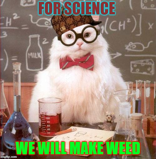Science Cat | FOR SCIENCE; WE WILL MAKE WEED | image tagged in science cat,scumbag | made w/ Imgflip meme maker