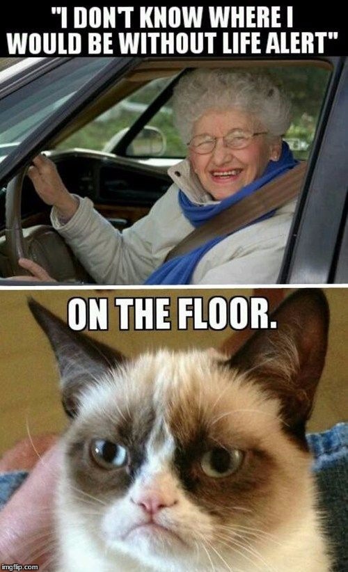 Life Alert | image tagged in grandma,grumpy cat,life alert | made w/ Imgflip meme maker