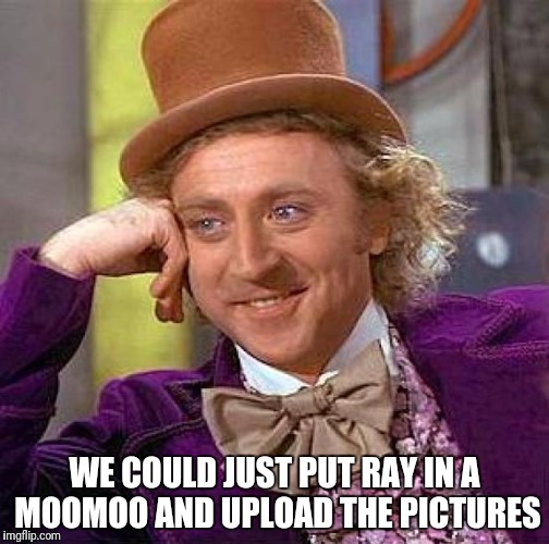 Creepy Condescending Wonka Meme | WE COULD JUST PUT RAY IN A MOOMOO AND UPLOAD THE PICTURES | image tagged in memes,creepy condescending wonka | made w/ Imgflip meme maker