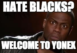 Kevin Hart | HATE BLACKS? WELCOME TO YONEX | image tagged in memes,kevin hart the hell | made w/ Imgflip meme maker