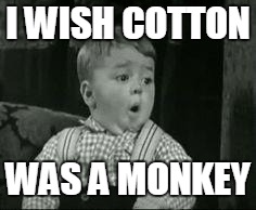 Spanky Oh Boy | I WISH COTTON; WAS A MONKEY | image tagged in spanky oh boy | made w/ Imgflip meme maker