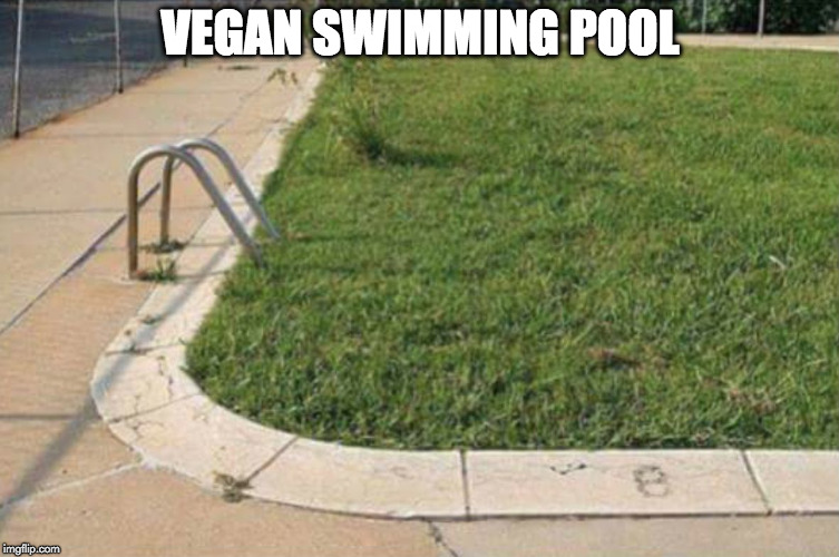Upvotes for spelling it right? ;) | VEGAN SWIMMING POOL | image tagged in vegan pool,vegan,swimming,swimming pool,vegen | made w/ Imgflip meme maker