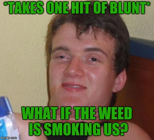 10 Guy Meme | *TAKES ONE HIT OF BLUNT*; WHAT IF THE WEED IS SMOKING US? | image tagged in memes,10 guy | made w/ Imgflip meme maker