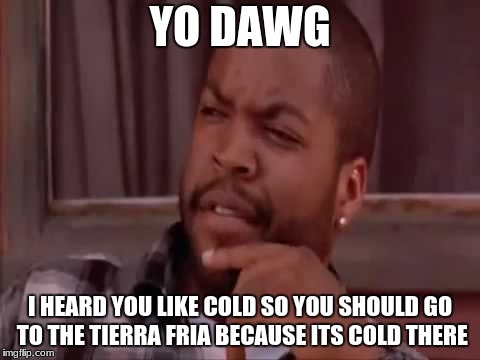 Ice Cube | YO DAWG; I HEARD YOU LIKE COLD SO YOU SHOULD GO TO THE TIERRA FRIA BECAUSE ITS COLD THERE | image tagged in ice cube | made w/ Imgflip meme maker