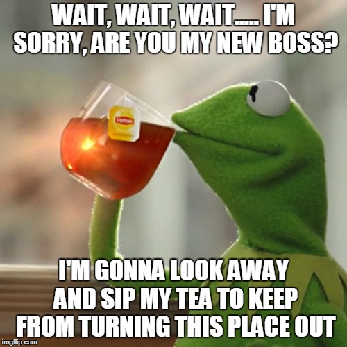 But That's None Of My Business Meme | WAIT, WAIT, WAIT..... I'M SORRY, ARE YOU MY NEW BOSS? I'M GONNA LOOK AWAY AND SIP MY TEA TO KEEP FROM TURNING THIS PLACE OUT | image tagged in memes,but thats none of my business,kermit the frog | made w/ Imgflip meme maker