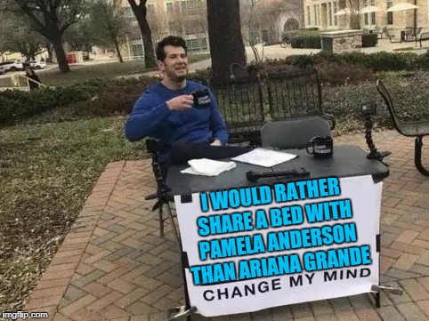 Change my Mind - Babes edition | I WOULD RATHER SHARE A BED WITH PAMELA ANDERSON THAN ARIANA GRANDE | image tagged in babes,hot,sexy,sexymemes,girls,jokes | made w/ Imgflip meme maker