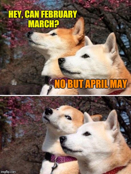 shiba bad joke |  HEY, CAN FEBRUARY MARCH? NO BUT APRIL MAY | image tagged in shiba bad joke | made w/ Imgflip meme maker