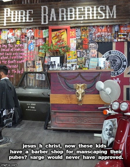 Pube Barberism | jesus  h  christ,  now  these  kids  have  a  barber  shop  for  manscaping  their pubes?  sarge  would  never  have  approved. | image tagged in pubes,manscaping | made w/ Imgflip meme maker