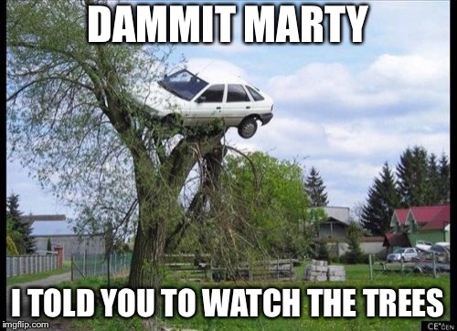 Secure Parking | DAMMIT MARTY; I TOLD YOU TO WATCH THE TREES | image tagged in memes,secure parking | made w/ Imgflip meme maker