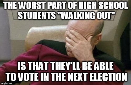 Captain Picard Facepalm Meme | THE WORST PART OF HIGH SCHOOL STUDENTS "WALKING OUT"; IS THAT THEY'LL BE ABLE TO VOTE IN THE NEXT ELECTION | image tagged in memes,captain picard facepalm | made w/ Imgflip meme maker
