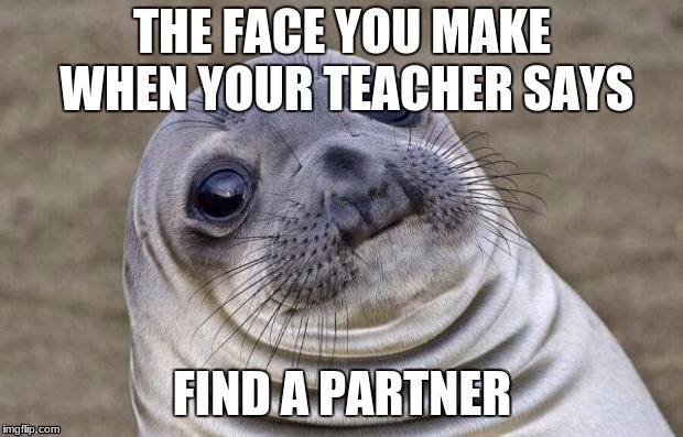 Awkward Moment Sealion | THE FACE YOU MAKE WHEN YOUR TEACHER SAYS; FIND A PARTNER | image tagged in memes,awkward moment sealion | made w/ Imgflip meme maker